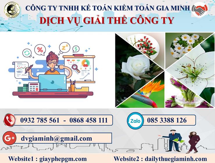 Thủ tục dịch vụ giải thể công ty trọn gói tại Huyện Tiên Lãng