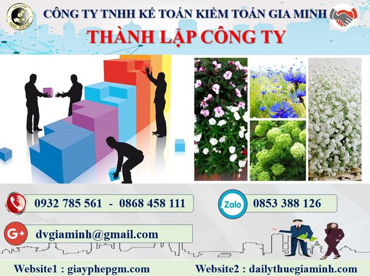 Thủ tục thành lập công ty bán buôn phân bón tại Bắc Ninh