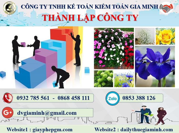 Thủ tục thành lập công ty bán buôn phân bón tại Bình Định