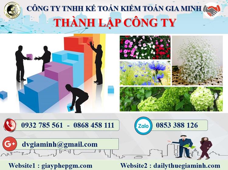 Thủ tục thành lập công ty bán buôn phân bón tại Bình Thuận