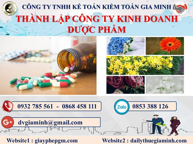 Thủ tục thành lập công ty kinh doanh dược phẩm tại Thành phố Hải Phòng