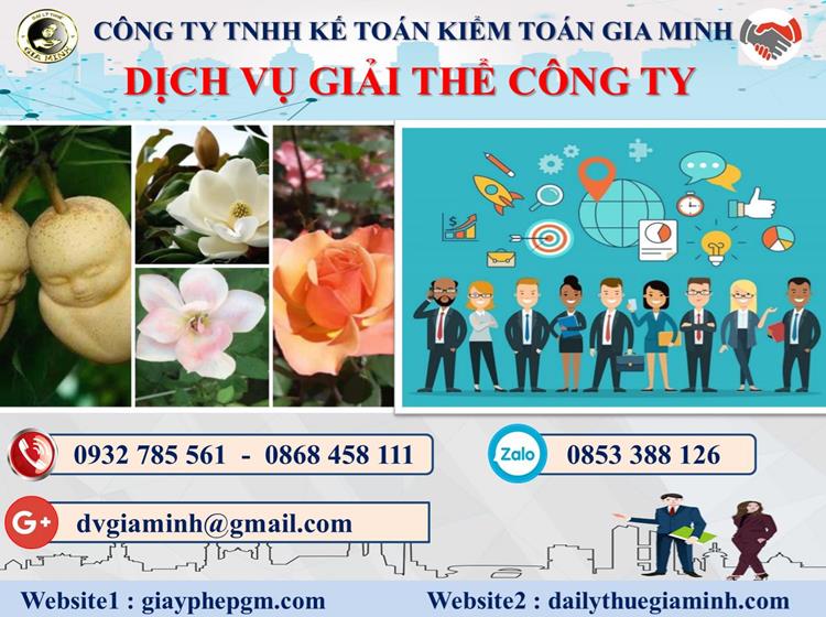 Trình tự dịch vụ giải thể công ty trọn gói ở Huyện Mê Linh