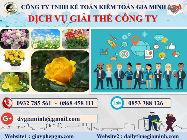 Trình tự dịch vụ giải thể công ty trọn gói ở Ninh Thuận