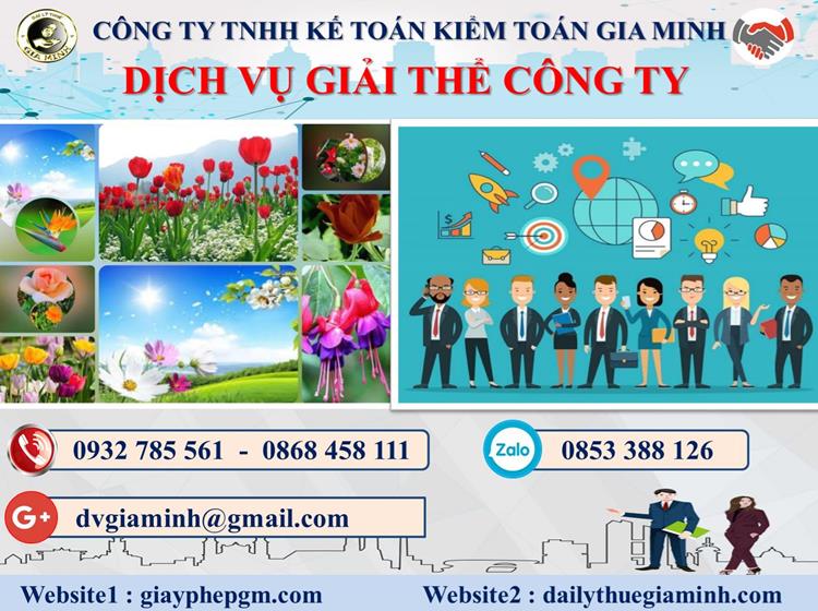 Trình tự dịch vụ giải thể công ty trọn gói ở TP Đà Nẵng