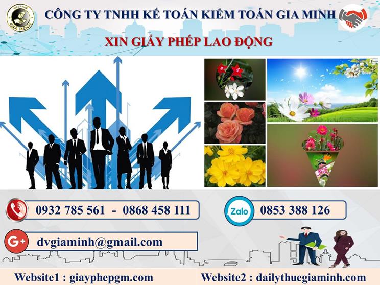 Trình tự xin giấy phép lao động tại Bình Định