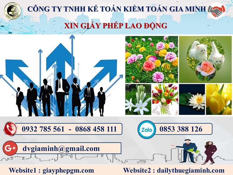Trình tự xin giấy phép lao động tại Huyện Phong Điền