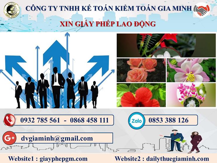 Trình tự xin giấy phép lao động tại Huyện Mê Linh