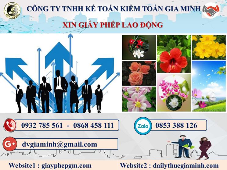 Trình tự xin giấy phép lao động tại Quận Tân Phú