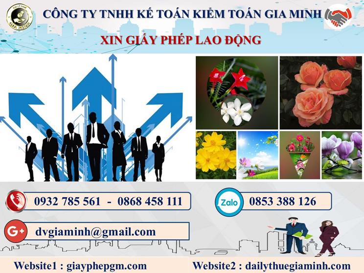 Trình tự xin giấy phép lao động tại Quảng Trị