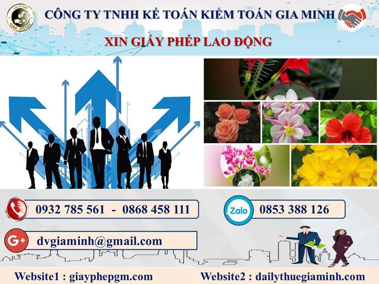 Trình tự xin giấy phép lao động tại Thị Xã Thuận An