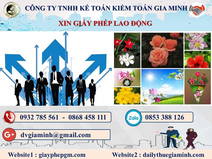 Trình tự xin giấy phép lao động tại Tuyên Quang