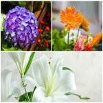 Cần tư vấn thành lập doanh nghiệp tại Khánh Hòa