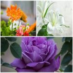 Tư vấn thành lập doanh nghiệp tại Quận 10 Cần tư vấn thành lập doanh nghiệp tại Quận 10
