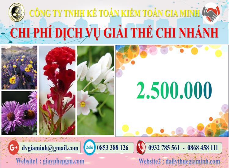 Chi phí dịch vụ giải thể chi nhánh tại Bắc Ninh