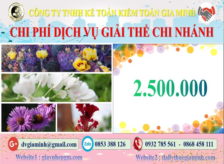 Chi phí dịch vụ giải thể chi nhánh tại Bình Định