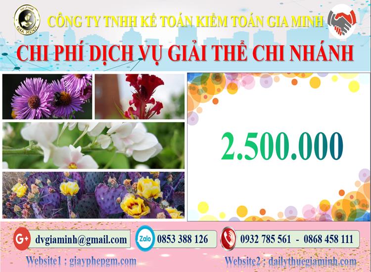 Chi phí dịch vụ giải thể chi nhánh tại Bình Thuận