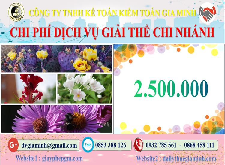 Chi phí dịch vụ giải thể chi nhánh tại Hà Giang