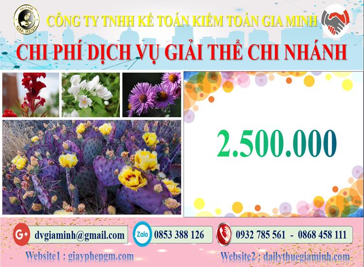 Chi phí dịch vụ giải thể chi nhánh tại Huyện Mê Linh