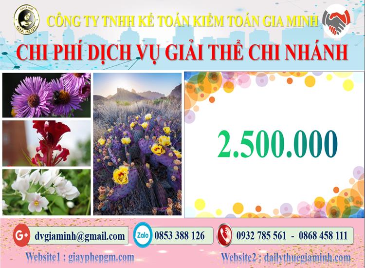 Chi phí dịch vụ giải thể chi nhánh tại Huyện Phú Xuyên