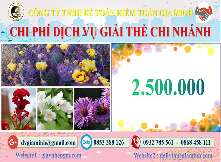 Chi phí dịch vụ giải thể chi nhánh tại Huyện Thanh Oai