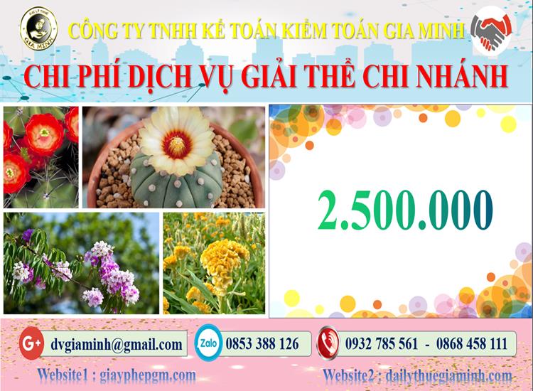 Chi phí dịch vụ giải thể chi nhánh tại Huyện Vĩnh Thạnh