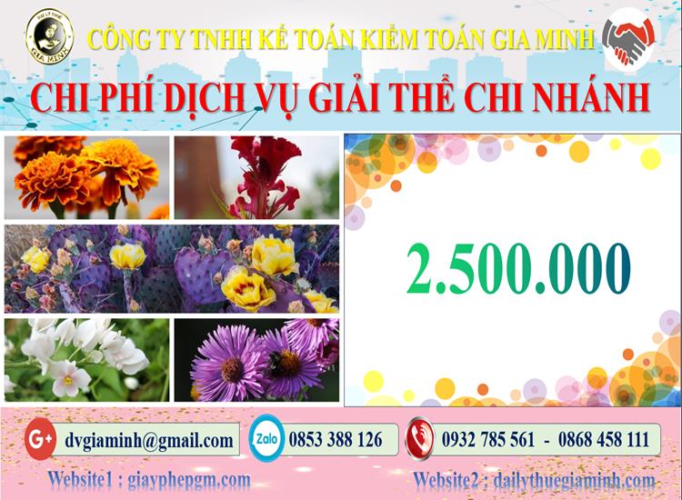 Chi phí dịch vụ giải thể chi nhánh tại Nam Định