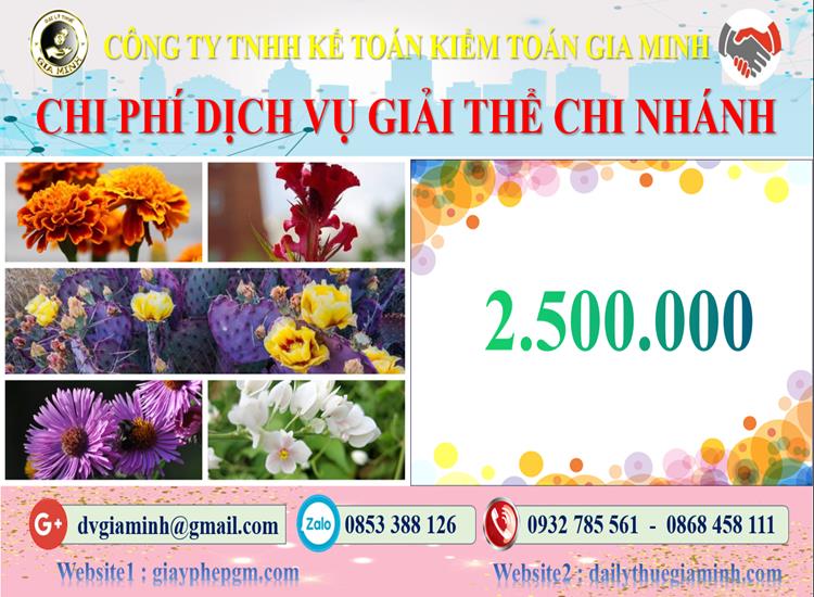 Chi phí dịch vụ giải thể chi nhánh tại Nghệ An