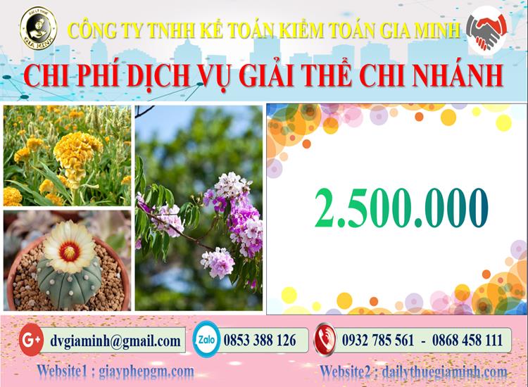 Chi phí dịch vụ giải thể chi nhánh tại Nha Trang