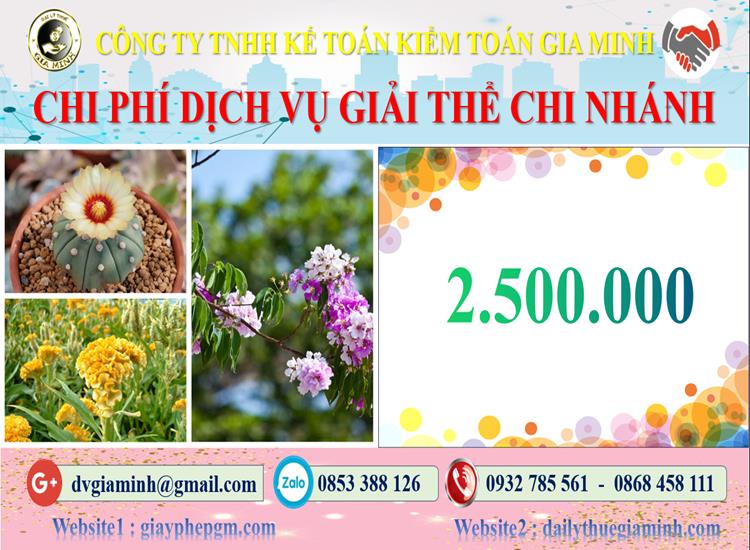 Chi phí dịch vụ giải thể chi nhánh tại Ninh Bình