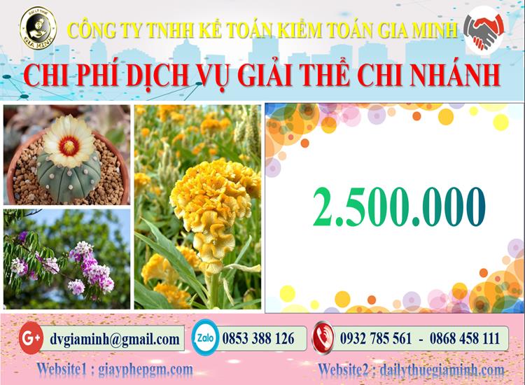 Chi phí dịch vụ giải thể chi nhánh tại Ninh Thuận
