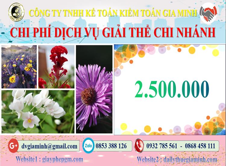 Chi phí dịch vụ giải thể chi nhánh tại Quận Long Biên