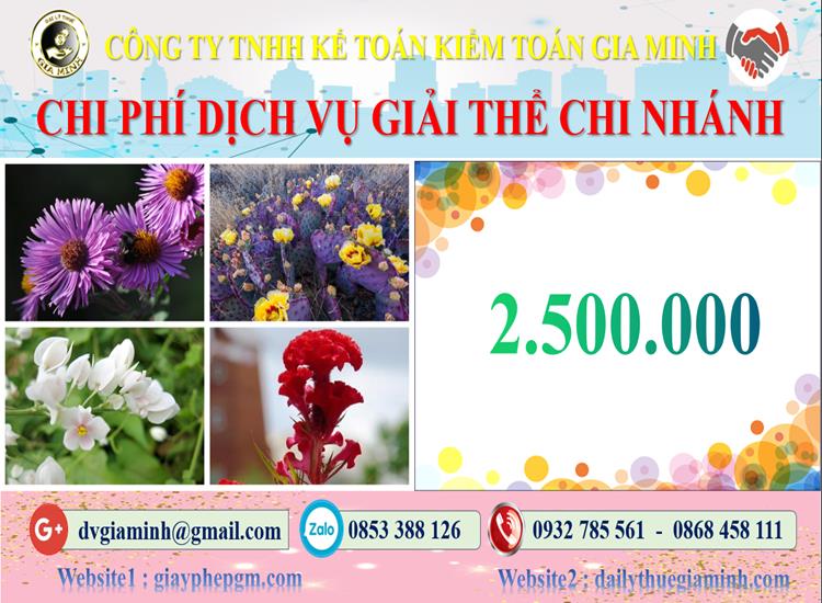 Chi phí dịch vụ giải thể chi nhánh tại Quận Phú Nhuận