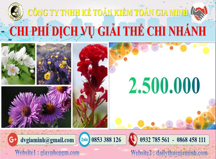 Chi phí dịch vụ giải thể chi nhánh tại Quận Thanh Xuân