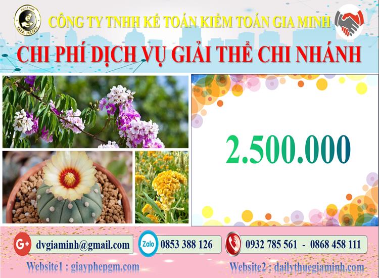 Chi phí dịch vụ giải thể chi nhánh tại Quảng Nam