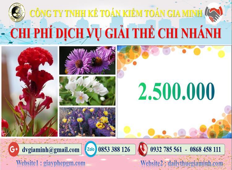 Chi phí dịch vụ giải thể chi nhánh tại Thành Phố Hồ Chí Minh