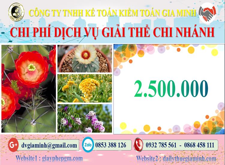 Chi phí dịch vụ giải thể chi nhánh tại TP Đà Nẵng