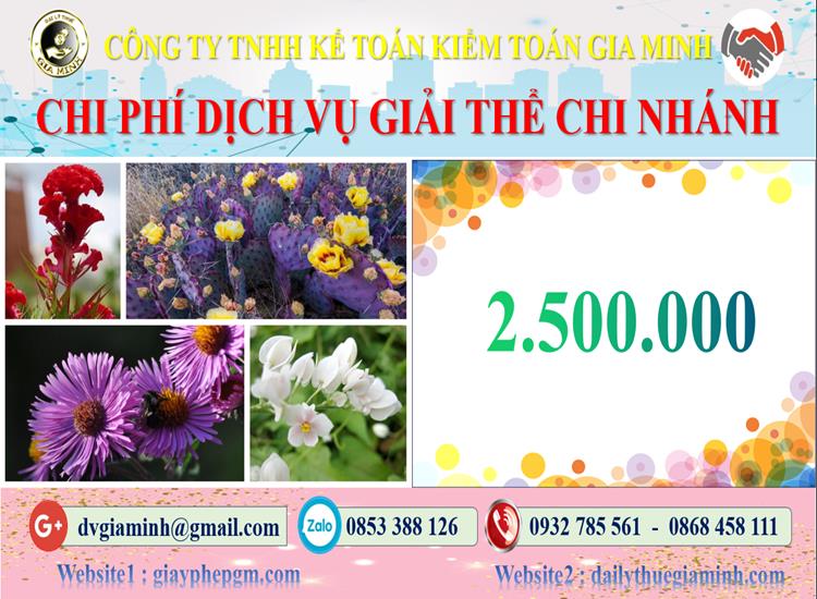 Chi phí dịch vụ giải thể chi nhánh tại TP Hà Nội