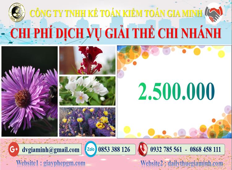 Chi phí dịch vụ giải thể chi nhánh tại TP Hồ Chí Minh