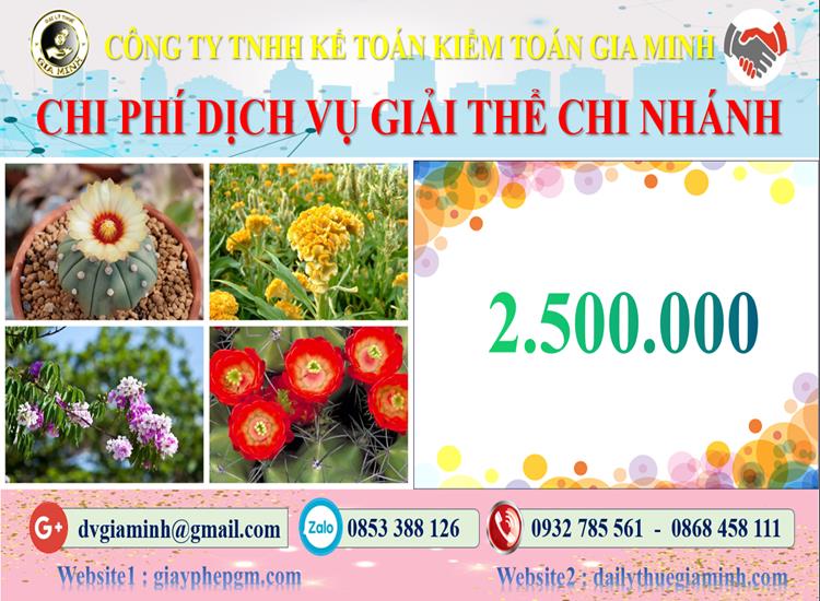 Chi phí dịch vụ giải thể chi nhánh tại Tuyên Quang