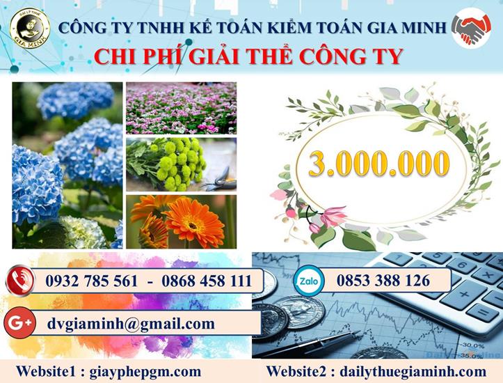 Chi phí dịch vụ giải thể công ty nhanh gọn uy tín Huyện Phong Điền