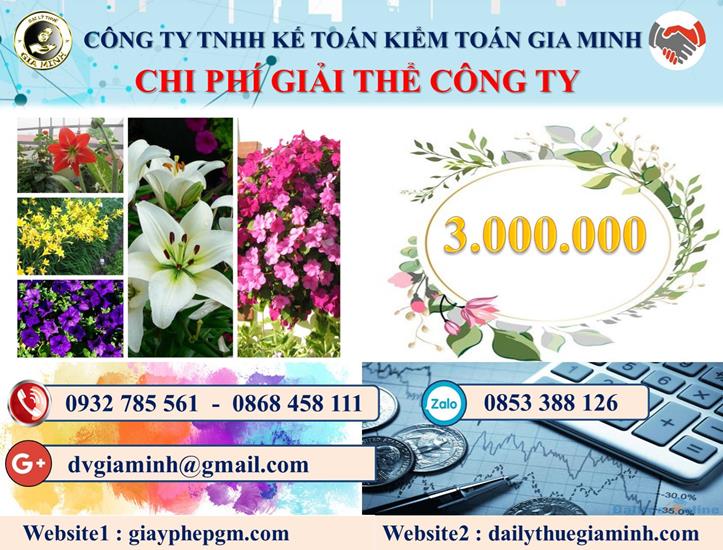 Chi phí dịch vụ giải thể công ty nhanh gọn uy tín Huyện Thanh Oai