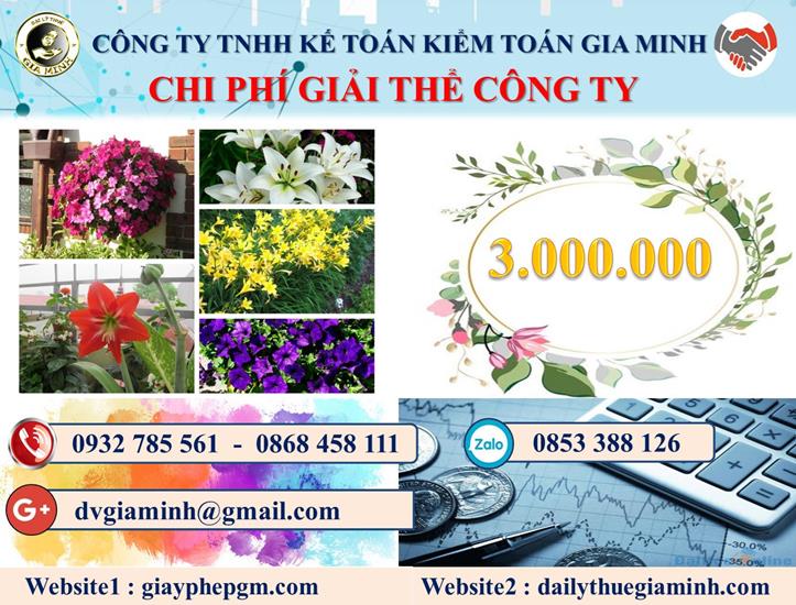 Chi phí dịch vụ giải thể công ty nhanh gọn uy tín Quận Bình Tân