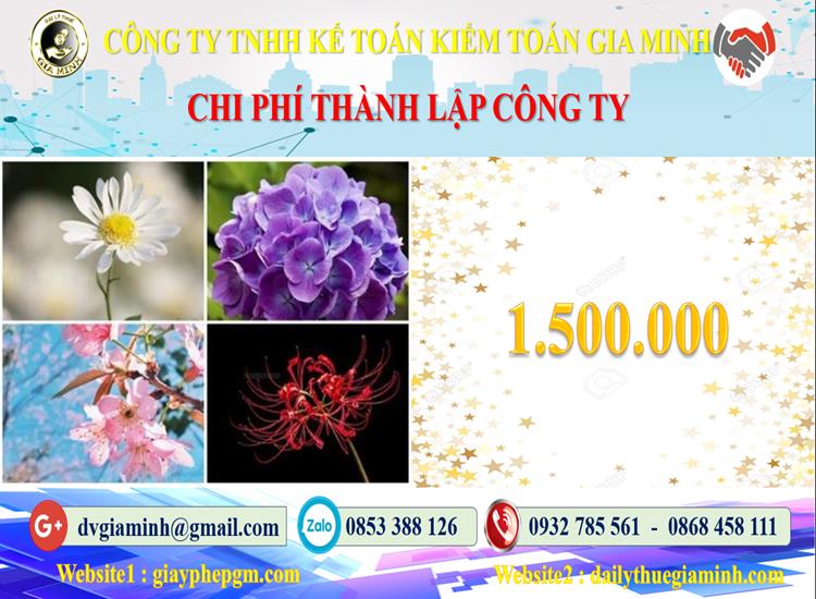 Chi phí dịch vụ thành lập công ty ở TP Hồ Chí Minh