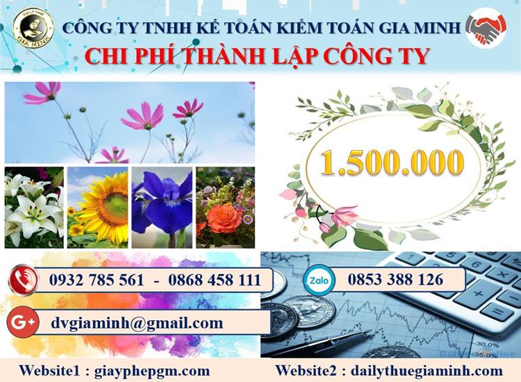 Chi phí thành lập công ty dược phẩm tại Bình Định