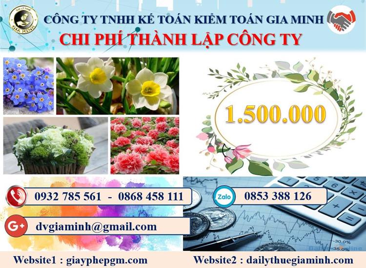 Chi phí thành lập công ty dược phẩm tại Ninh Bình