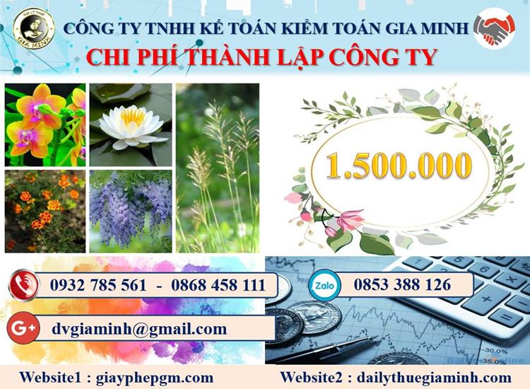 Chi phí tư vấn thành lập doanh nghiệp tại Bình Định