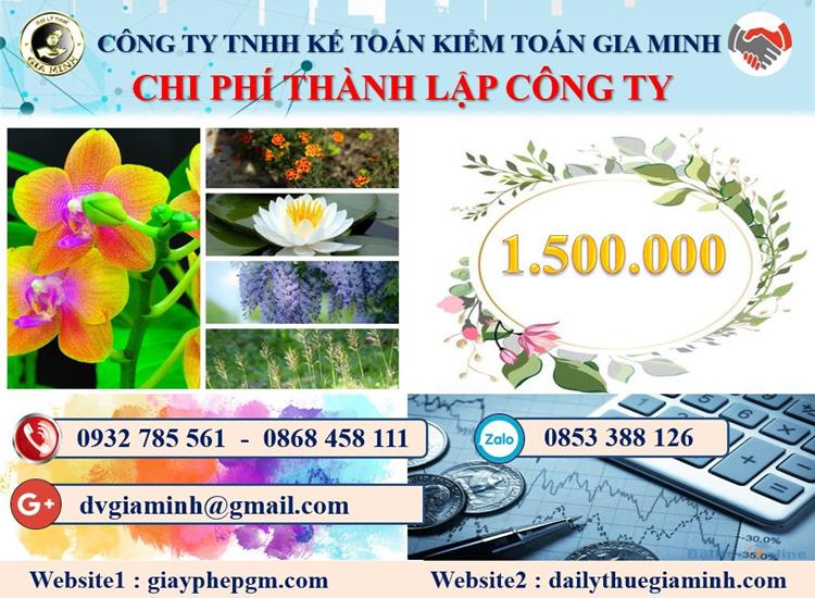 Chi phí tư vấn thành lập doanh nghiệp tại Hậu Giang
