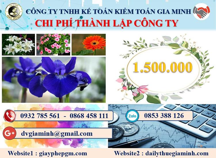 Chi phí tư vấn thành lập doanh nghiệp tại Thành phố Đà Nẵng