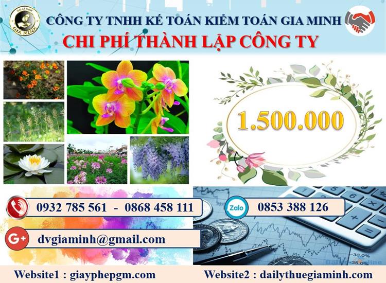 Chi phí tư vấn thành lập doanh nghiệp tại Thành Phố Hồ Chí Minh