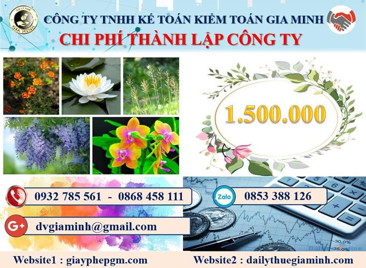 Chi phí tư vấn thành lập doanh nghiệp tại Thị Xã Sơn Tây